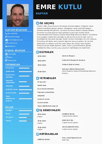 cv indir
